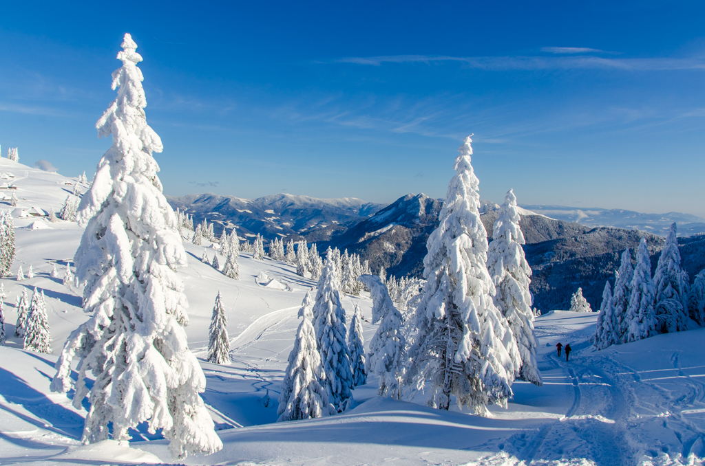 Velika Planina